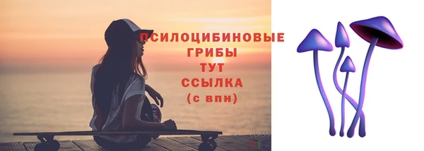 бошки Лабытнанги