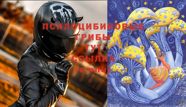 бошки Лабытнанги