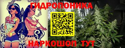 jwh Будённовск