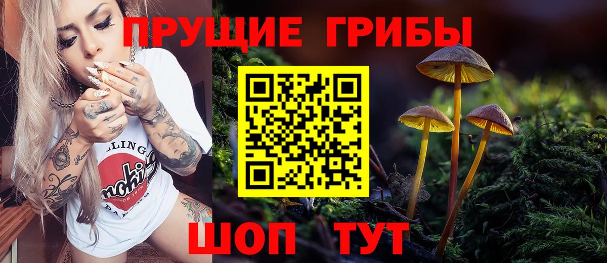 Обнинск  Псилоцибиновые грибы GOLDEN TEACHER  Вход с VPN 