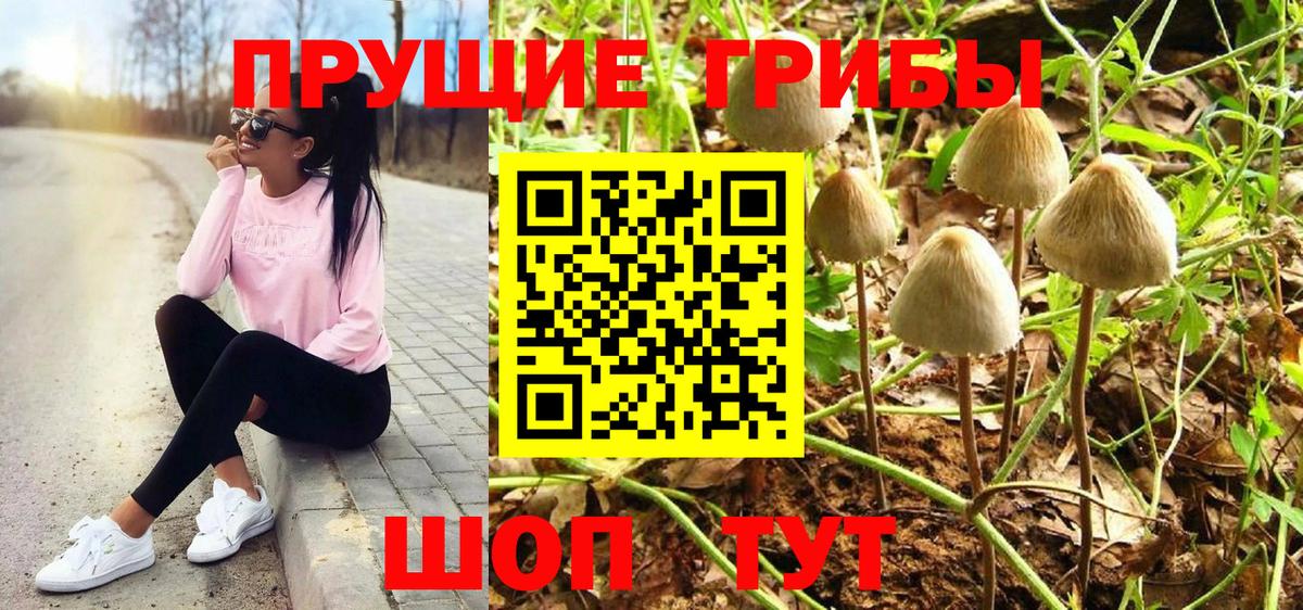 Галлюциногенные грибы Magic Shrooms Обнинск